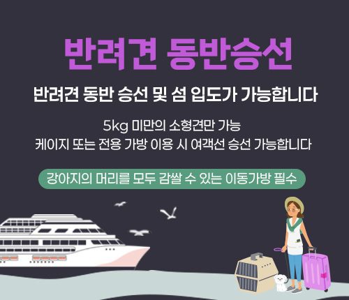 반려견동반